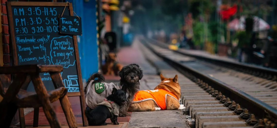The story of Hanoi Train Street