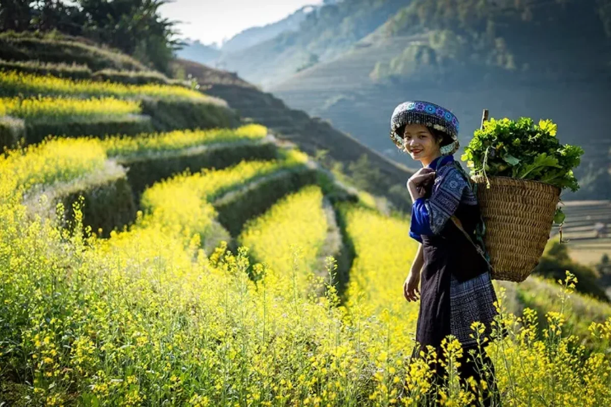 Lao Cai