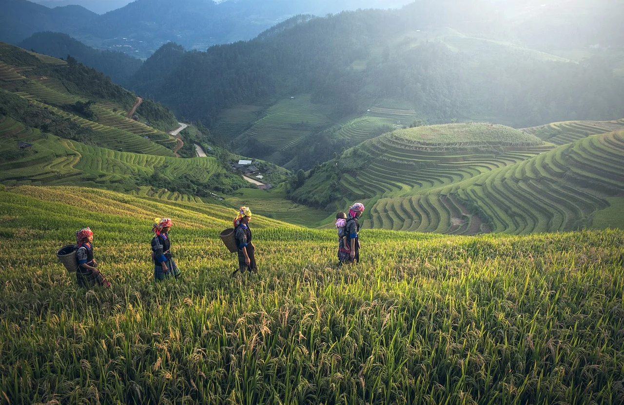 Hanoi 6D5N package: Sapa 3D – Halong bay 1D