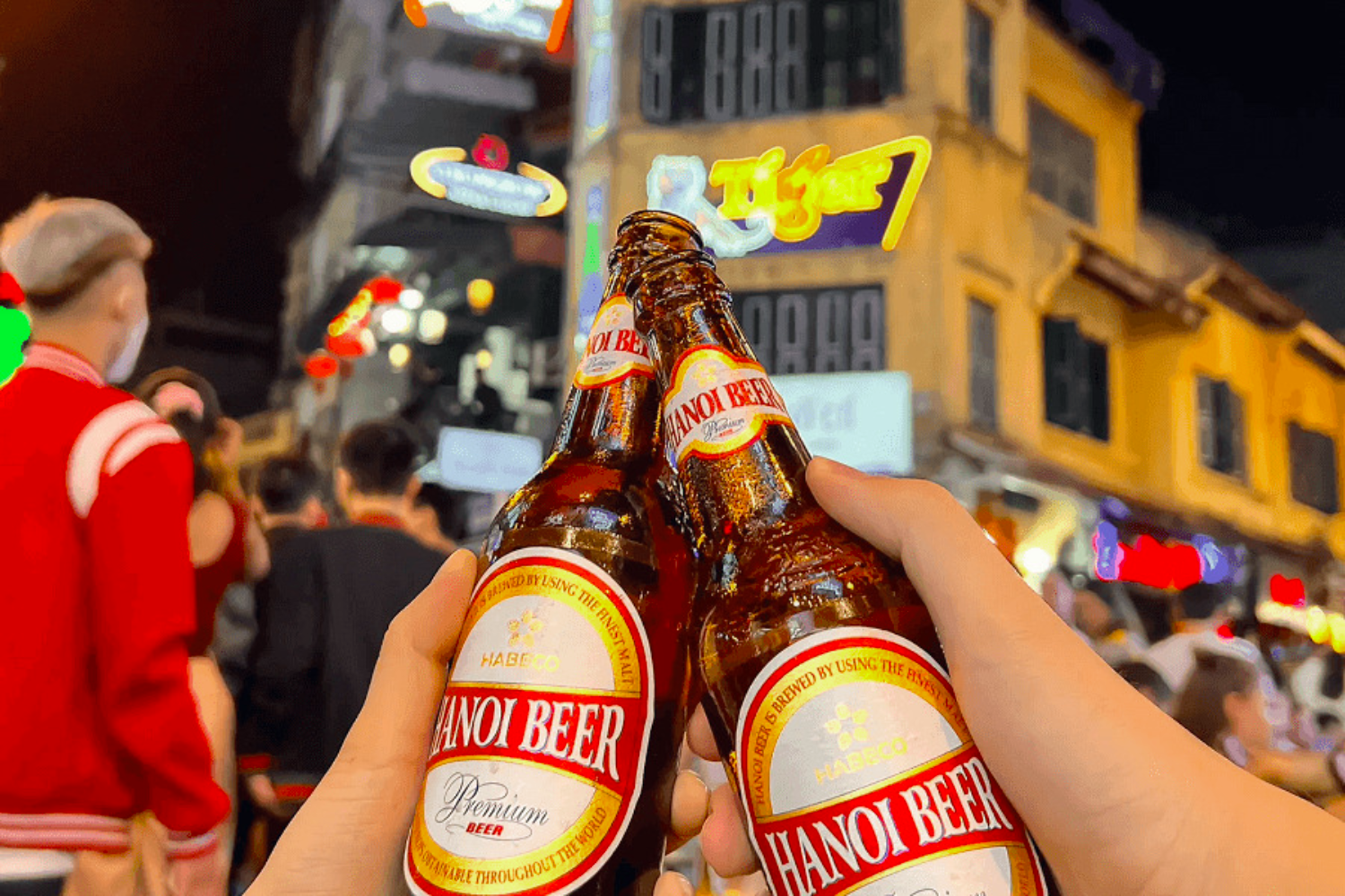 Vietnam Travel Guide