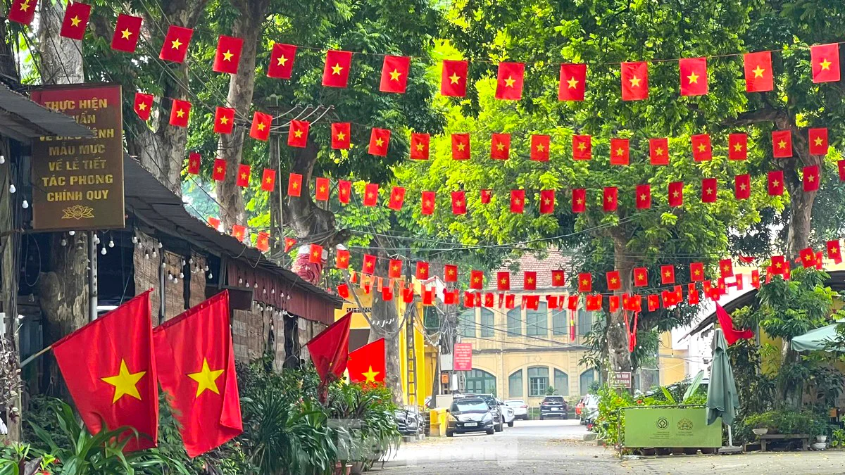 Vietnam Travel Guide