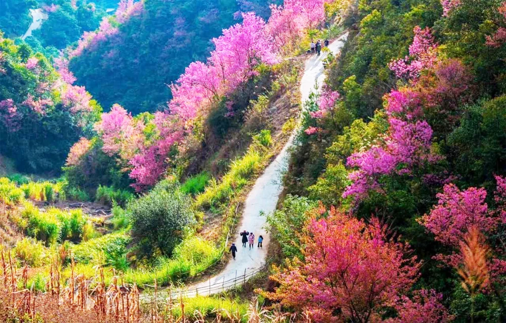 Sapa Travel Guide