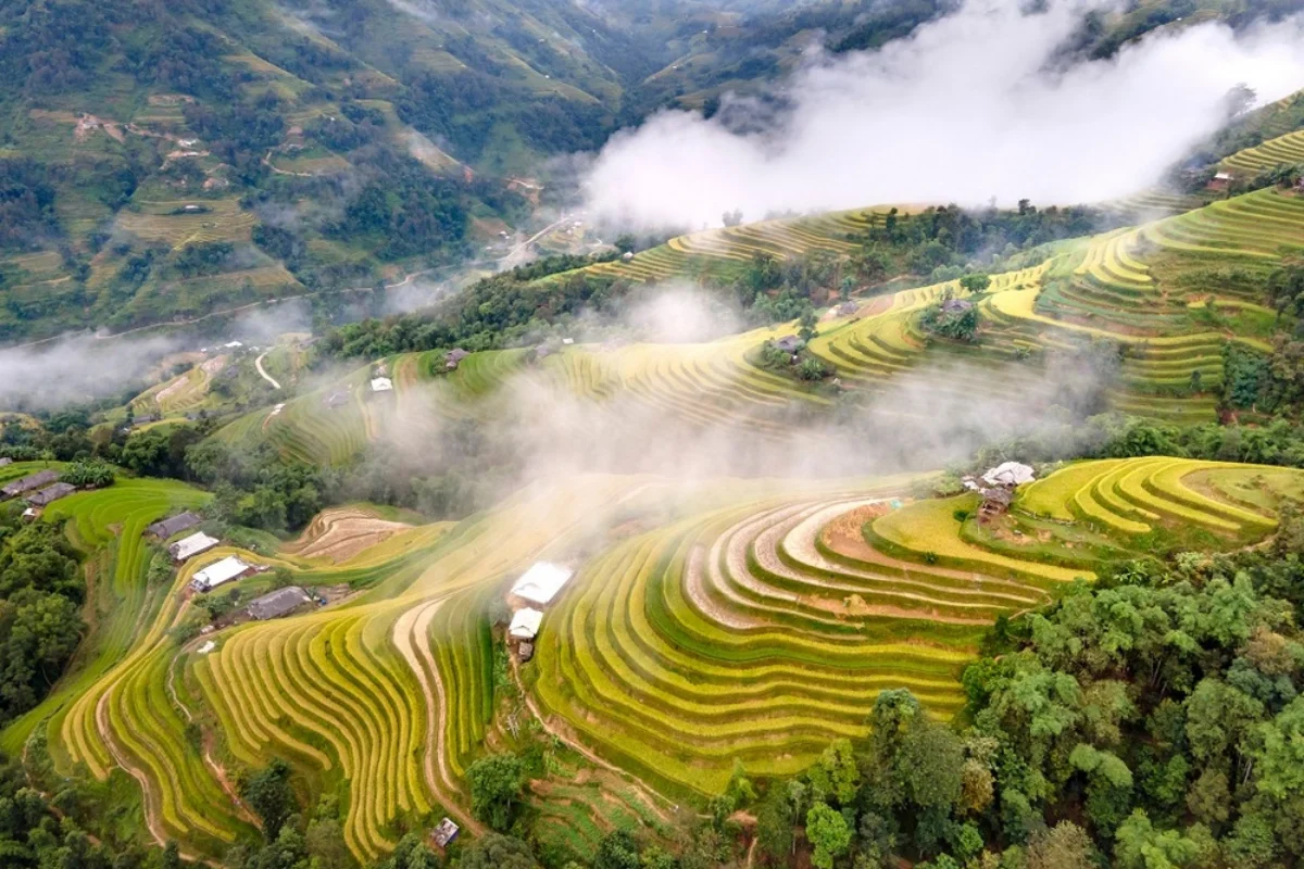 Vietnam Travel Guide
