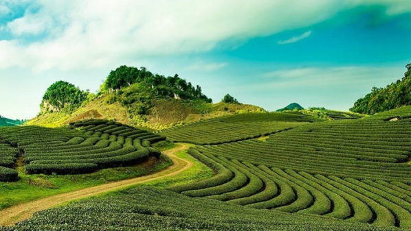private-dalat-5-days-4-nights-package