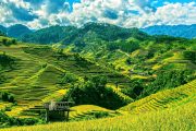 Best time to visit Sapa