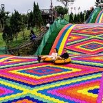 Dalat Mongo land